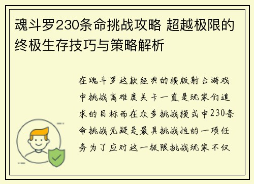 魂斗罗230条命挑战攻略 超越极限的终极生存技巧与策略解析